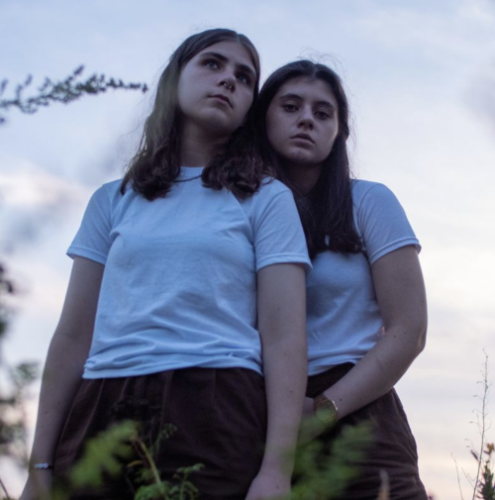 Promo photo for Circus Trees